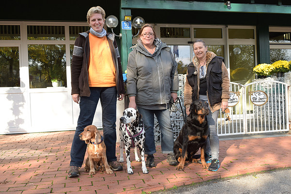 med_1a - Team.JPG (600 x 400)